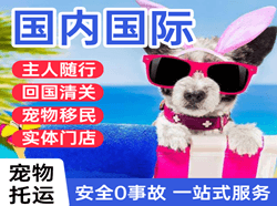 南京禄口机场空运国际宠物托运 【国